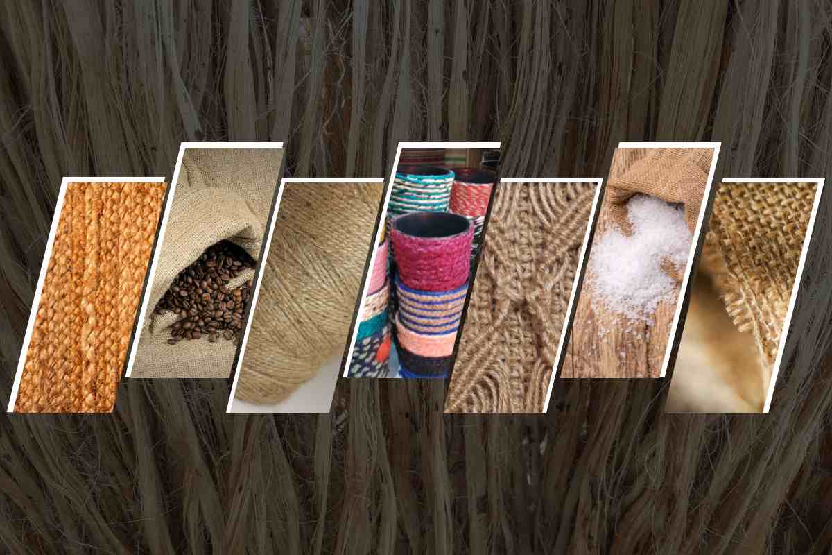 Jute Industry Insights 