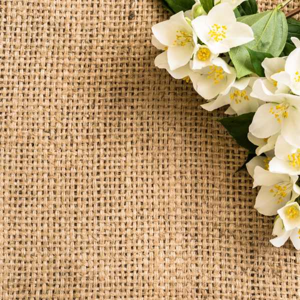 Jute fibers arranged in a dynamic pattern symbolizing the eco-friendly revolution in modern industries, featuring SA Shamim Jute Mills Ltd in Dinajpur, Bangladesh