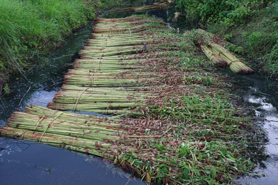 Crafting Top-Quality Jute Bags - SA Shamim Jute Mills Ltd