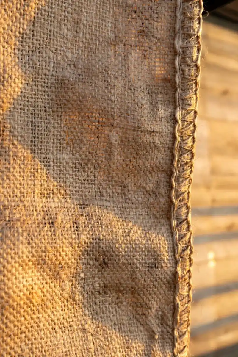 Bangladesh's Jute Industry: A Global Leader in Eco-Friendly Solutions