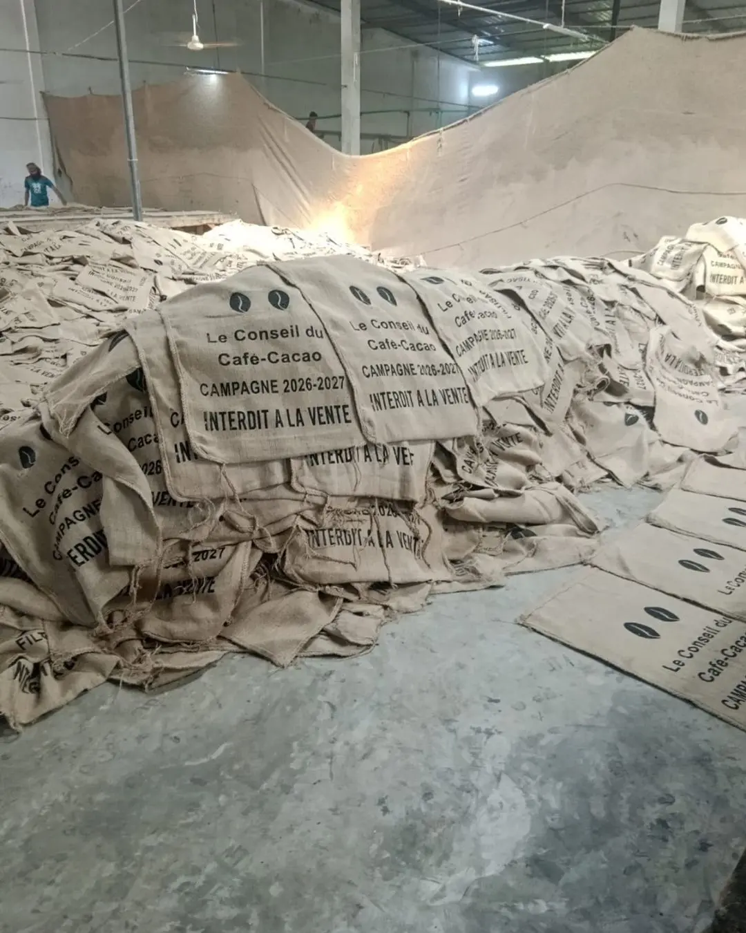 Verified bulk cocoa bag production for Le Conseil du Café-Cacao Côte d'Ivoire at SA Shamim Jute Mills factory Bangladesh